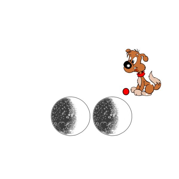 05 i love my Dog White Thumbnail