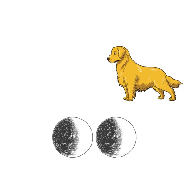 05 i love my Golden Retriever White Thumbnail