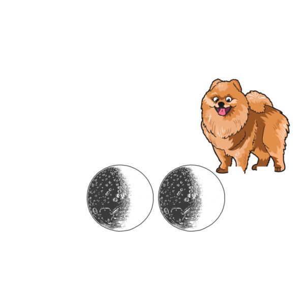 05 i love my Pomeranian white Thumbnail