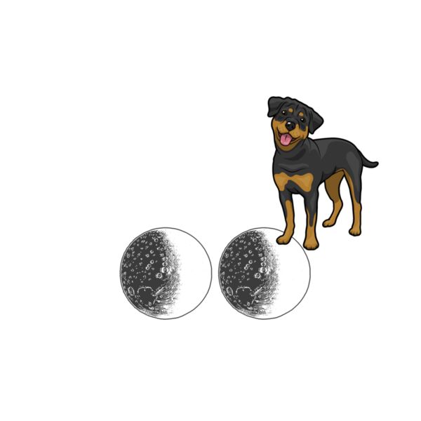 05 i love my Rottweil whiteer Thumbnail