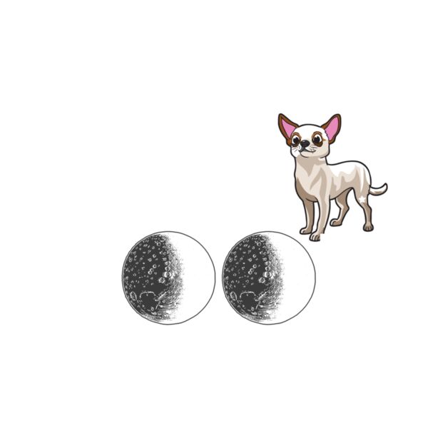 05 i love my chihuahua white Thumbnail