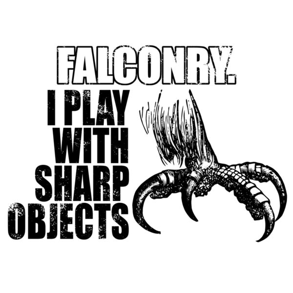 01 falconry copy Thumbnail