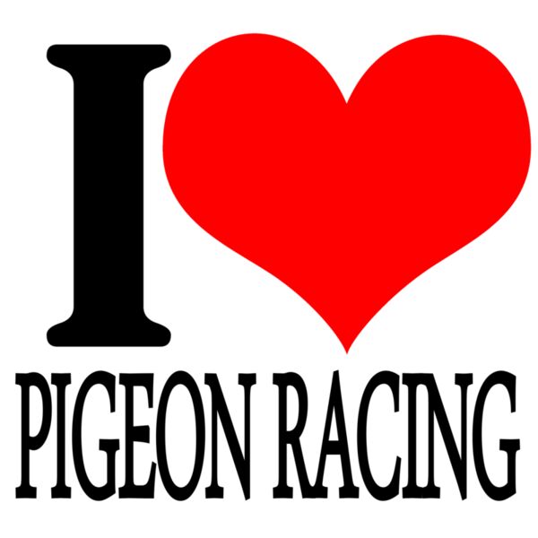 07 i heart pigeon racing copy Thumbnail