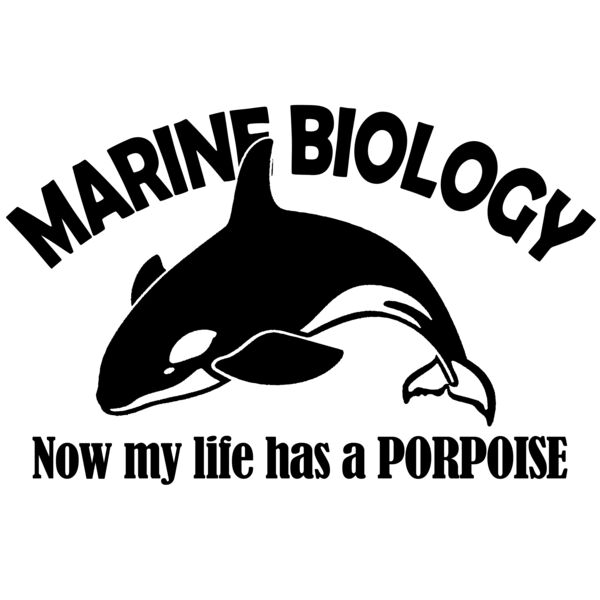 03 marine biology porpoise copy Thumbnail