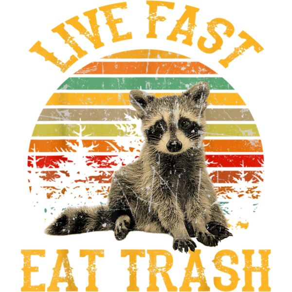 Live fast eat Trash Funny Raccoon Camping Vintage T Shirt Thumbnail