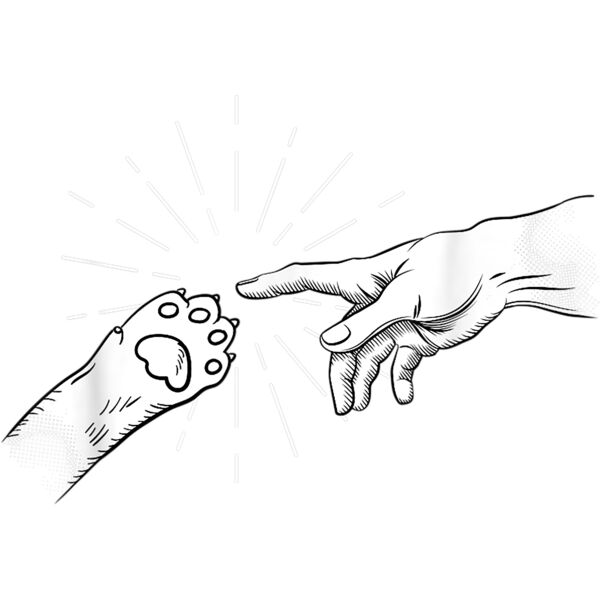 Creation of Cat   Funny Cat Lover Gift T Shirt Thumbnail