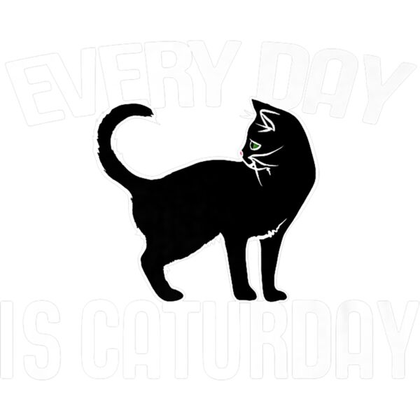Every Day is Caturday black cat art cat people Premium T Shirt Thumbnail