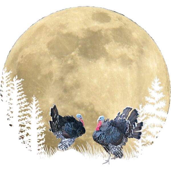 1cdf6152 daec 421a 8937 347f9caae10a Thumbnail