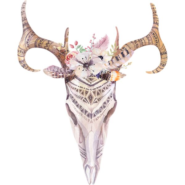 Cow Skull Floral Shirt Boho Cow Skull Shirt Watercolor Cow Thumbnail