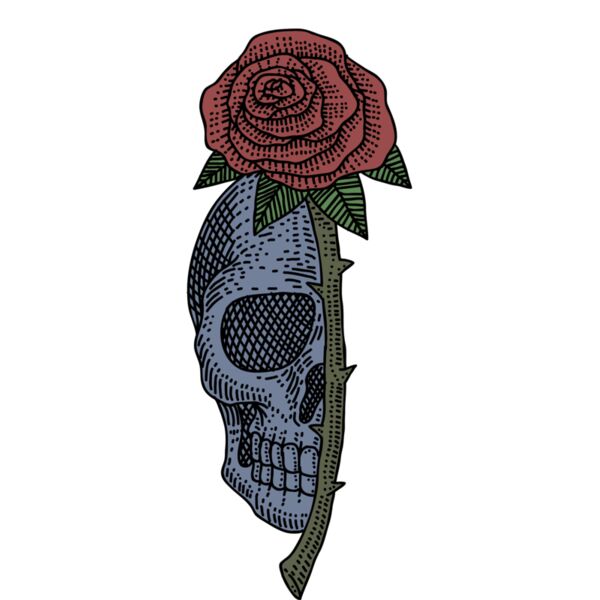 skull rose Thumbnail