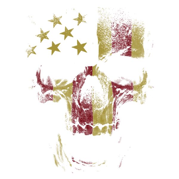 distressed usa skull Thumbnail
