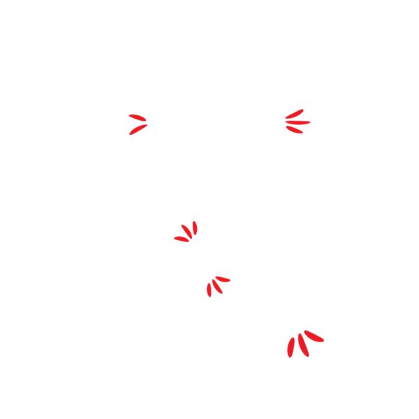 TINSEL IN A TANGLE Thumbnail