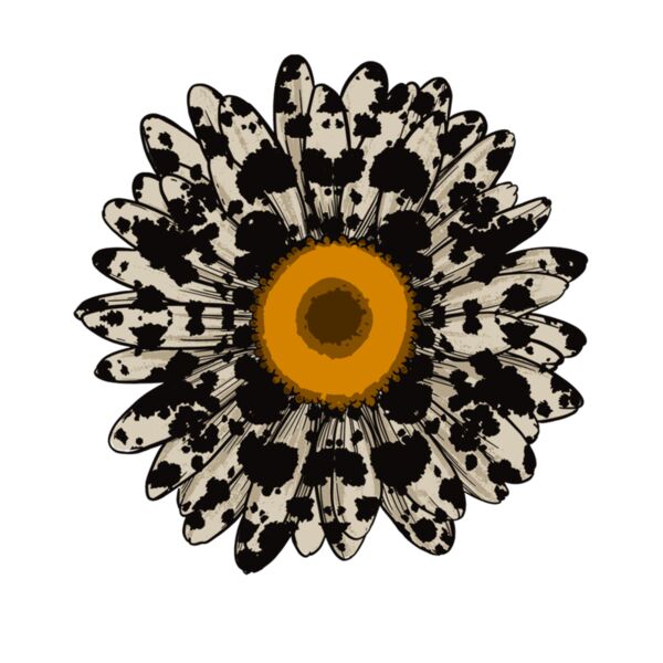 COWPRINT DAISY Thumbnail