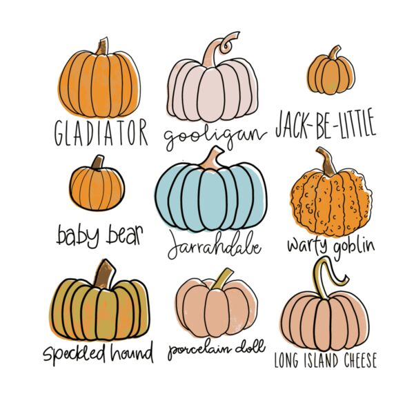 PICK YOUR PUMPKIN Thumbnail